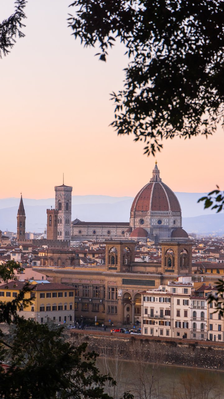 After: Florence's Duomo at dusk, framed by tree branches, with the finished Lightroom edit