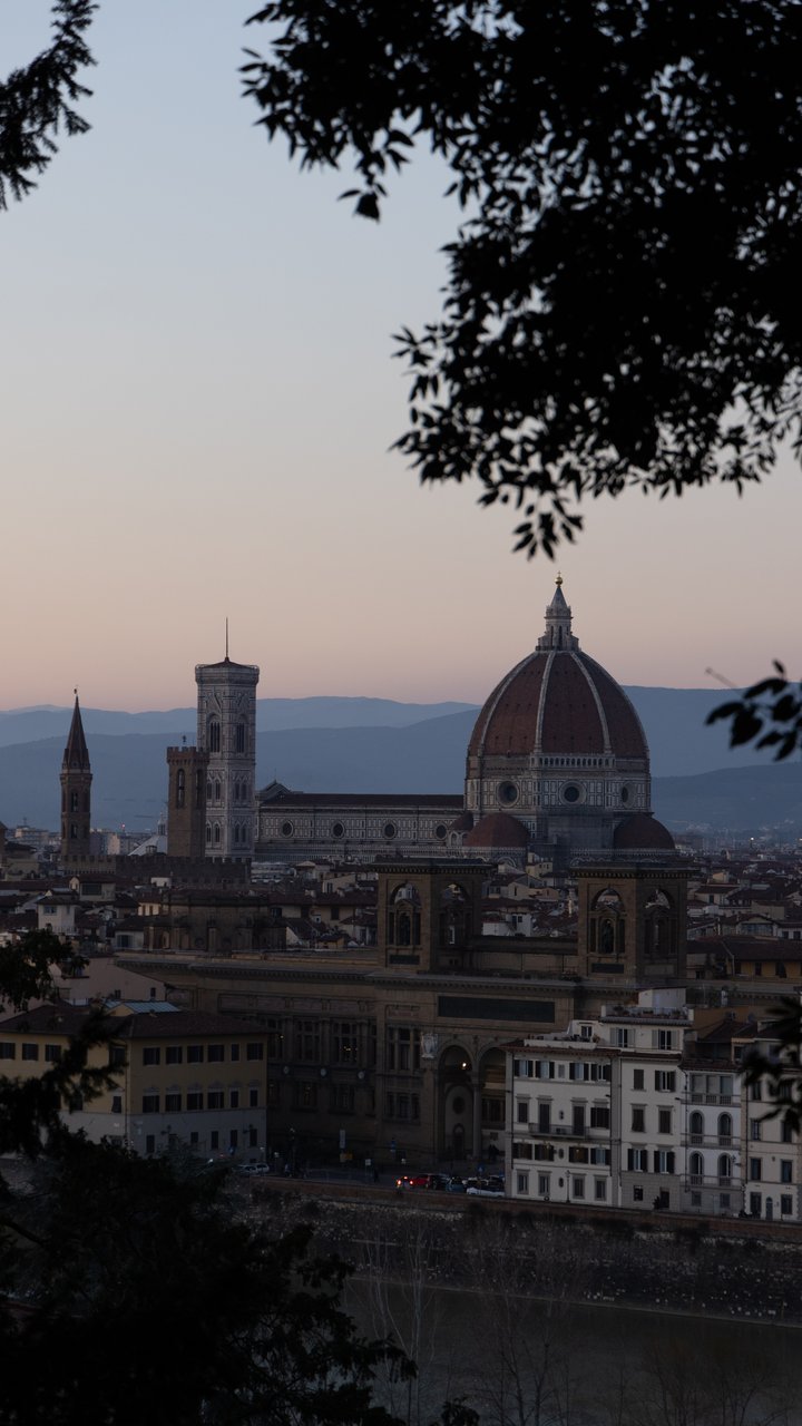 Before: Florence's Duomo at dusk, framed by tree branches, unedited