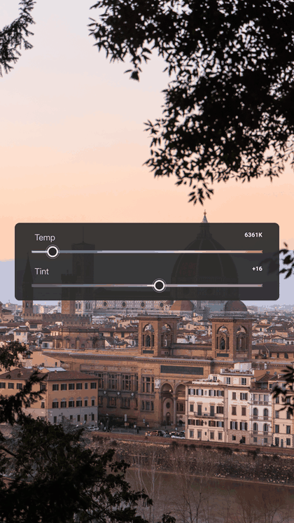 The reel made from this edit: its real Lightroom settings, one panel at a time, over Florence's Duomo at dusk, framed by tree branches